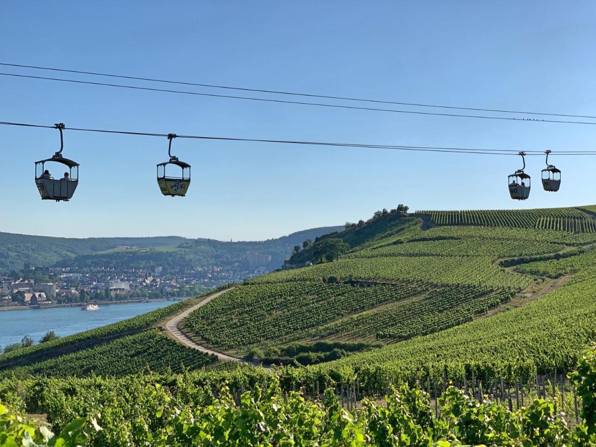 Fewo Zur Goldenen Traube Rüdesheim am Rhein Eksteriør bilde