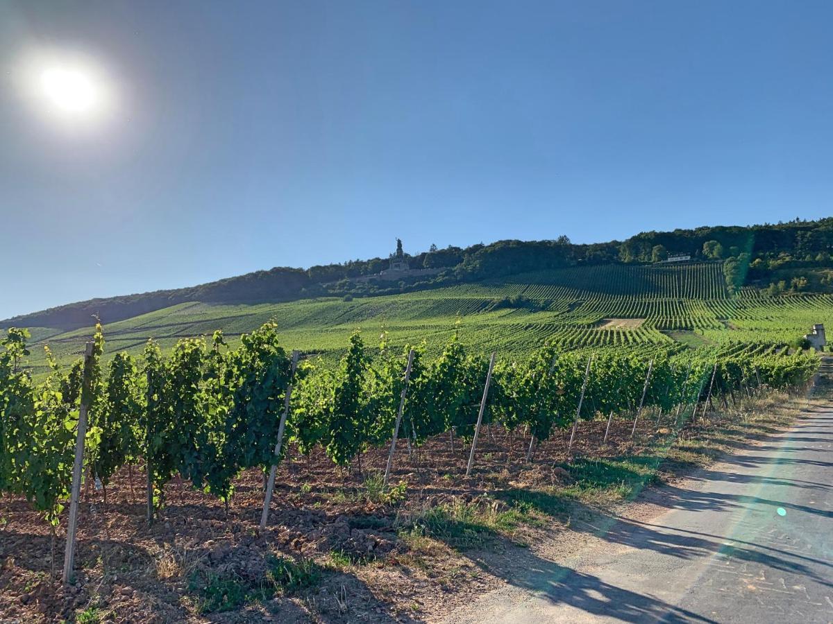 Fewo Zur Goldenen Traube Rüdesheim am Rhein Eksteriør bilde